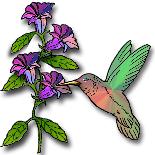 Hummingbird & Flower