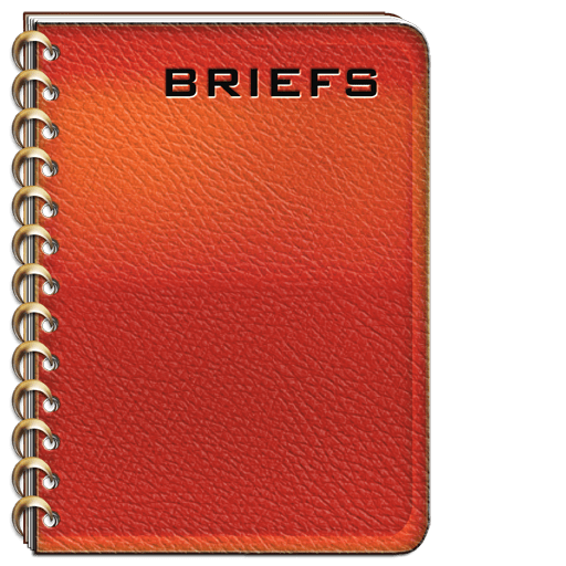 Pigskin Journal for Legal Briefs